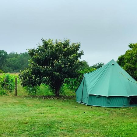 Quinta Da Teimosa Villa Moncao Bagian luar foto